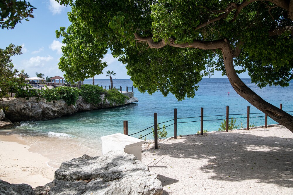 Book Dreams Curacao Resort Spa Casino All Inclusive In Willemstad Hotels Com