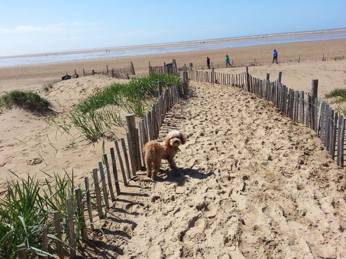 Dog Friendly Hotels In Lytham St Anne S Pet Friendly Hotels Hotels Com
