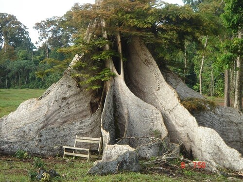 Top Hotels In Kribi Cameroon Cancel Free On Most Hotels Hotels Com