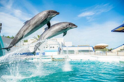 鴨川シー ワールド 周辺のホテル 宿泊予約 格安ホテル予約 最安値検索 ホテルズドットコム