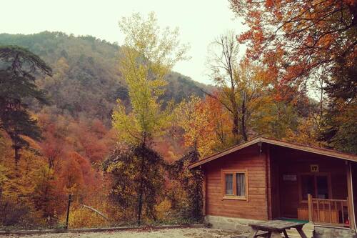 habitat mesire evleri bolu info photos reviews book at hotels com
