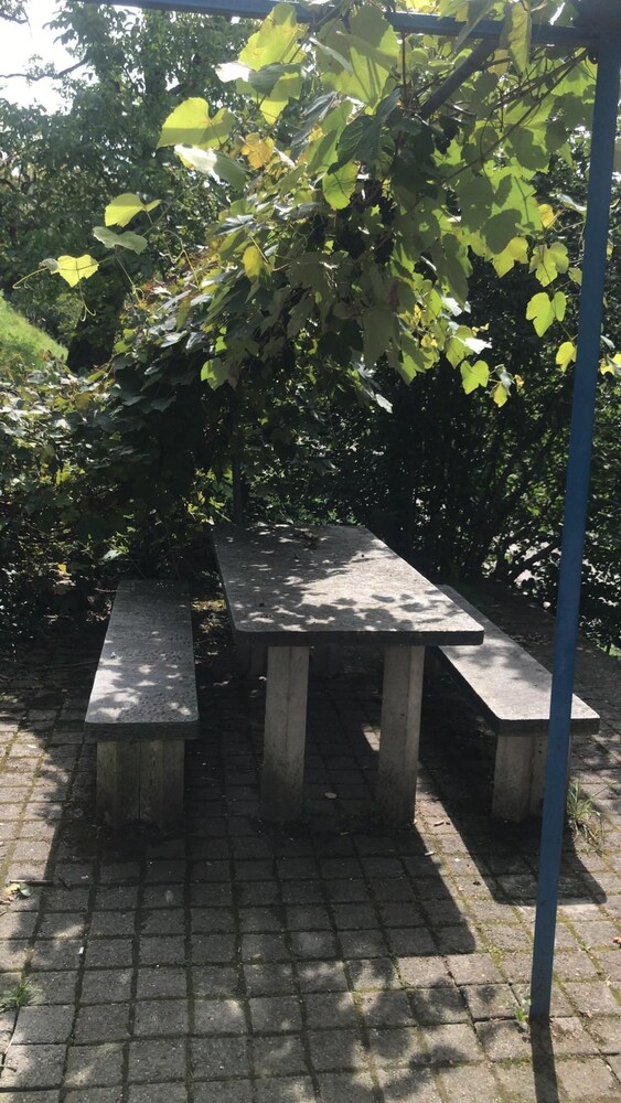 book adam eve design guesthouse in adliswil hotels com