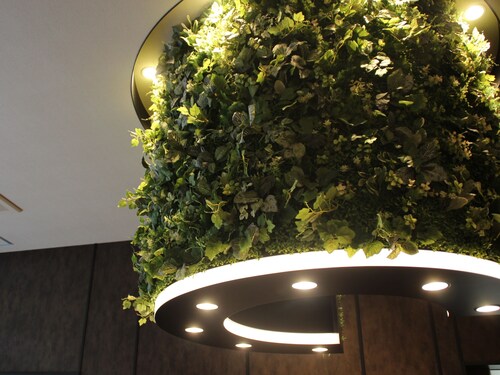 福岡市 大橋駅 福岡周辺のホテル 宿泊予約 格安ホテル予約 最安値検索 大橋駅 福岡のおすすめ宿泊情報 ホテルズドットコム