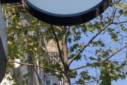 Book Daisy Hotel In Izmir Hotels Com