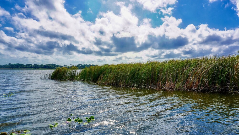 Book Lake Seminole Country Cabins In Seminole Hotels Com