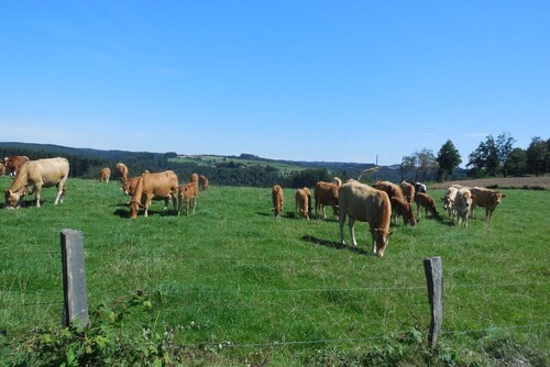 Top Hotels In Vresse Sur Semois Belgium Cancel Free On Most Hotels Hotels Com