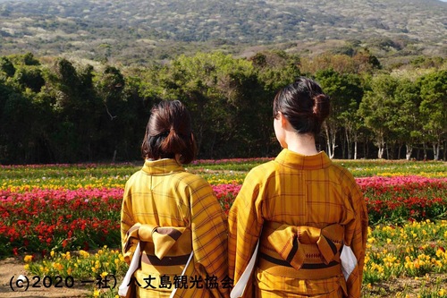 国民宿舎 サンマリーナ 八丈 の宿泊予約 ホテルズドットコム 国民宿舎 サンマリーナ 八丈 の宿泊予約 ホテルズドットコム