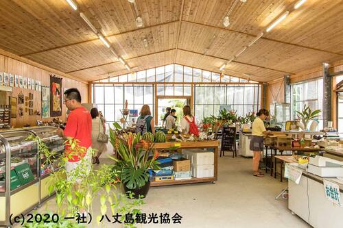 国民宿舎 サンマリーナ 八丈 の宿泊予約 ホテルズドットコム 国民宿舎 サンマリーナ 八丈 の宿泊予約 ホテルズドットコム