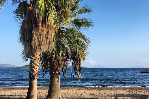 Book Marin Beach Otel In Bodrum Hotels Com