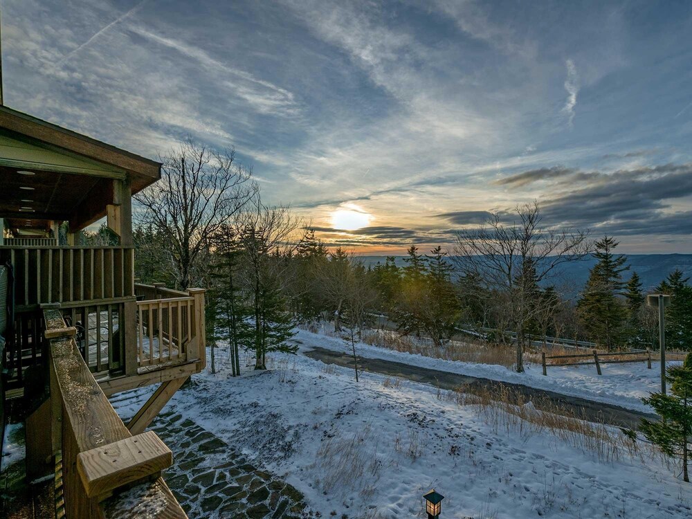 Book 5 Br Black Bear Crossing 4 in Snowshoe