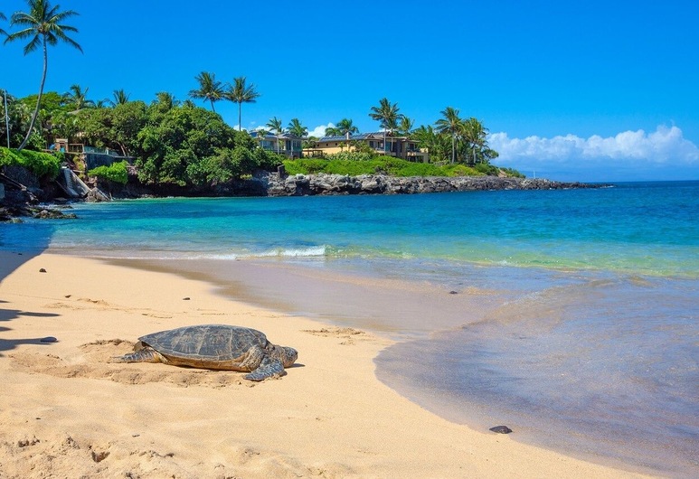 Kahana Sunset E6 2 Bedroom Condo By Redawning Lahaina Hotels Com Kahana Sunset E6 2 Bedroom Condo By Redawning Lahaina Hotels Com