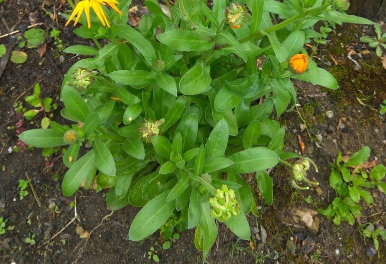 アグロツーリズモ アマラー オリオ の宿泊予約 ホテルズドットコム