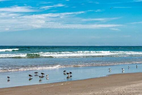 Book Seaside Villas 4302 In New Smyrna Beach Hotels Com Book Seaside Villas 4302 In New Smyrna Beach Hotels Com