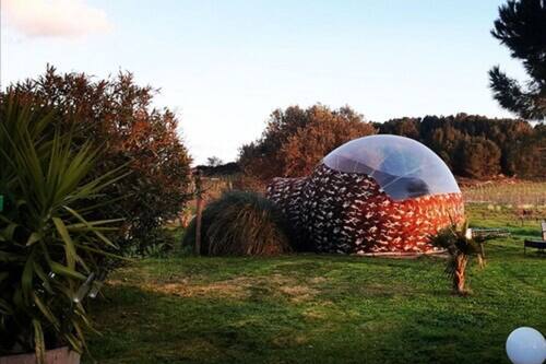 Les Chambres Bulles Du Chateau Belvize Bize Minervois Hotels Com Les Chambres Bulles Du Chateau Belvize Bize Minervois Hotels Com