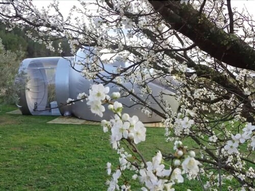 Les Chambres Bulles Du Chateau Belvize Bize Minervois Hotels Com