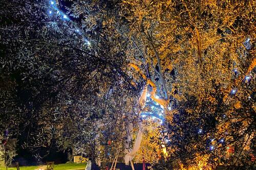 yiva kazdaglari en edremit hotels com