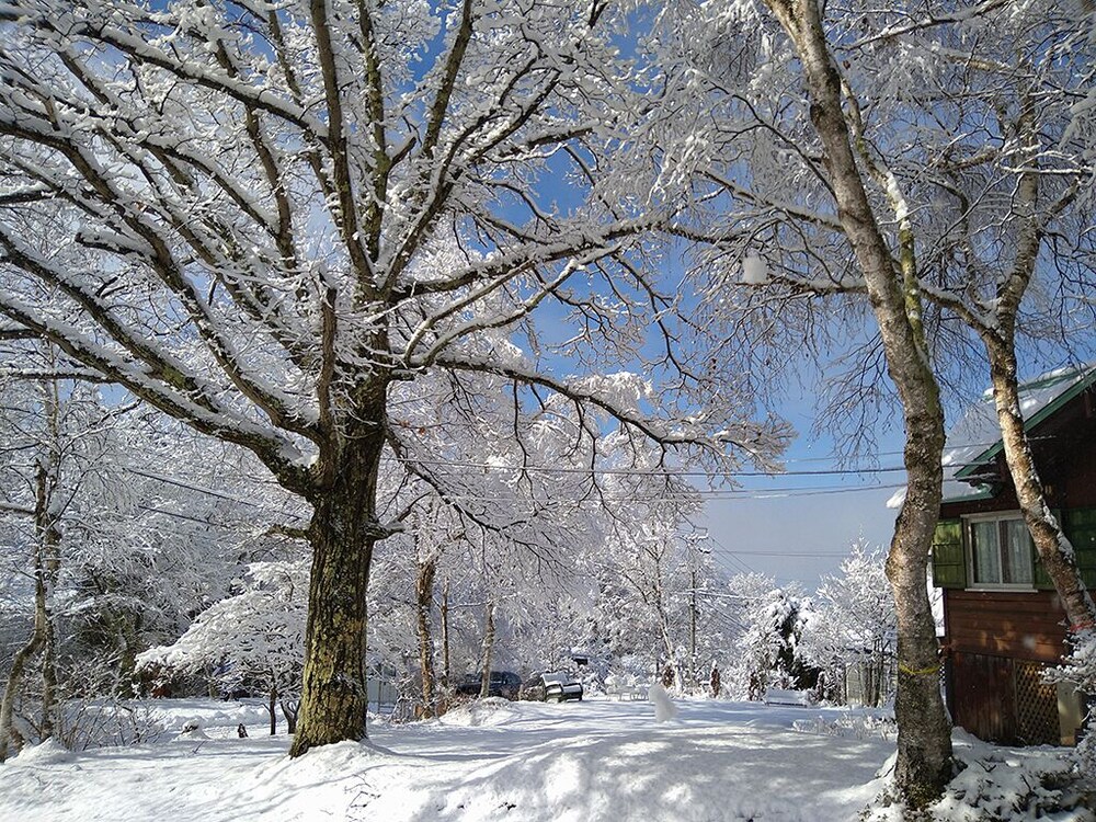 ペンションイメージハウス 原 の宿泊予約 ホテルズドットコム