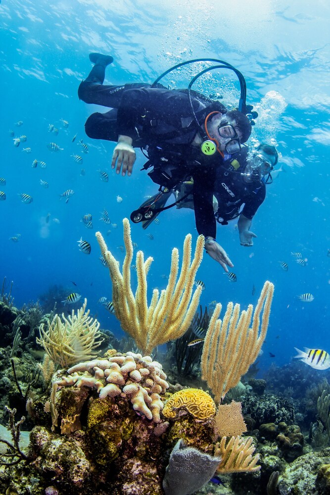 Book La Placita Inn in Roatan  Hotels.com