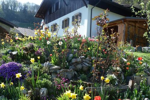Book Le Jardin Fleuri In Ollon Hotels Com Book Le Jardin Fleuri In Ollon Hotels Com