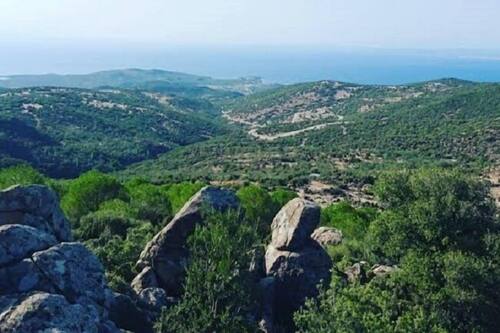 dikili papaya evleri tatil koyu dikili hotels com