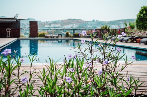 Costa Farilya Special Class Hotel Bodrum Bodrum Hotels Com