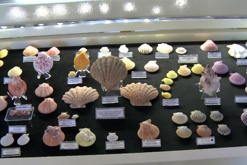 Bodrum Gulet Otel Bodrum Hotels Com