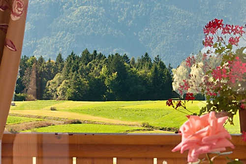 Book Hotel Rosa Resort In Cavareno Hotels Com