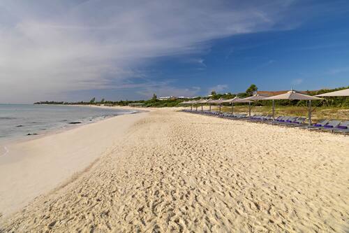 Limpieza de Playas en Playa del Carmen y Cancún- Riviera Maya