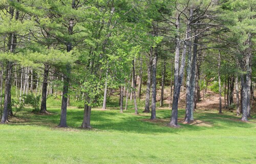 Best Cheap Hotels In Bangor From 60 Night Hotels Com