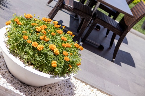 Book Hilton Garden Inn Istanbul Golden Horn In Istanbul Hotels Com