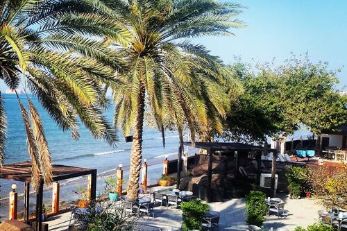 Book Al Qurum Resort In Muscat Hotels Com Book Al Qurum Resort In Muscat Hotels Com