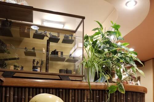 旅館さわや本店 静かで便利な旅館 宿泊予約はホテルズドットコム 旅館さわや本店 静かで便利な旅館 宿泊予約はホテルズドットコム