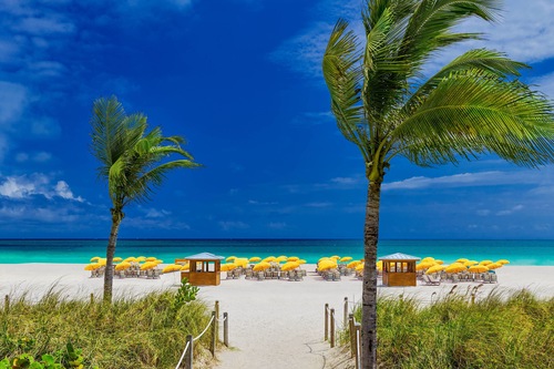 Royal Palm South Beach Miami A Tribute Portfolio Resort In Miami Beach Hotels Com