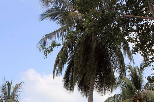 Book Rip Tide Beach In Guraidhoo Hotels Com Book Rip Tide Beach In Guraidhoo Hotels Com