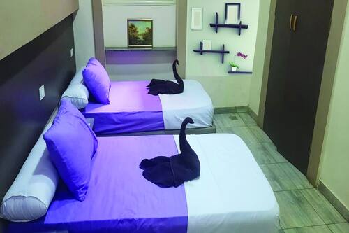 احجز ذي إميرالد هوستل في القاهرة قارن أسعار الفنادق في القاهرة احجز ذي إميرالد هوستل في القاهرة قارن أسعار الفنادق في القاهرة