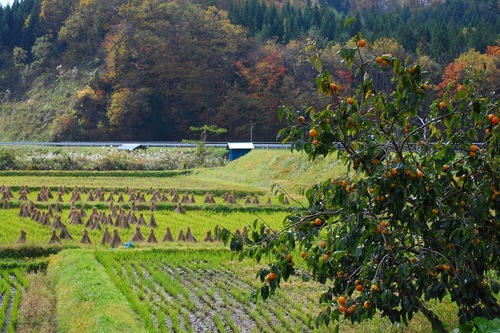 奧州平泉溫泉附近冬宮靜香亭 住宿預訂優惠及飯店資訊 Hotels Com