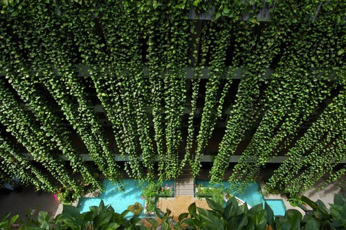 ホテル ムーン ビーチ 景色がキレイでプライベートビーチ付きのラグジュアリーホテル 宿泊予約はホテルズドットコム ホテル ムーン ビーチ 景色がキレイでプライベートビーチ付きのラグジュアリーホテル 宿泊予約はホテルズドットコム