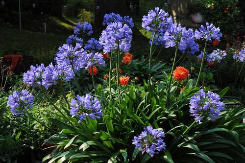 Hotel Restaurant Sonnenhof Weyerbusch Germany Weyerbusch Hotel Discounts Hotels Com