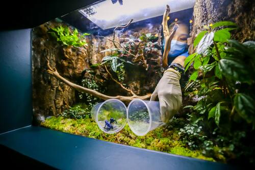 book resorts world sentosa hotel