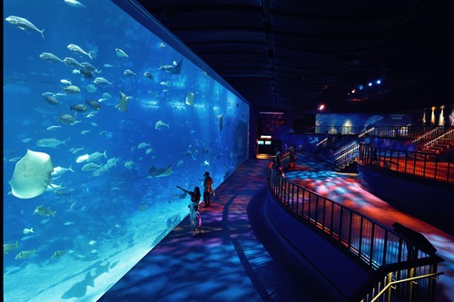 Resorts World Sentosa Hotel Michael Sg Clean Singapore Updated Price Reviews Hd Photos Hotels Com Resorts World Sentosa Hotel Michael Sg Clean Singapore Updated Price Reviews Hd Photos Hotels Com