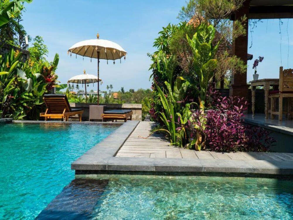 高级房, 泳池景观 - 室外游泳池