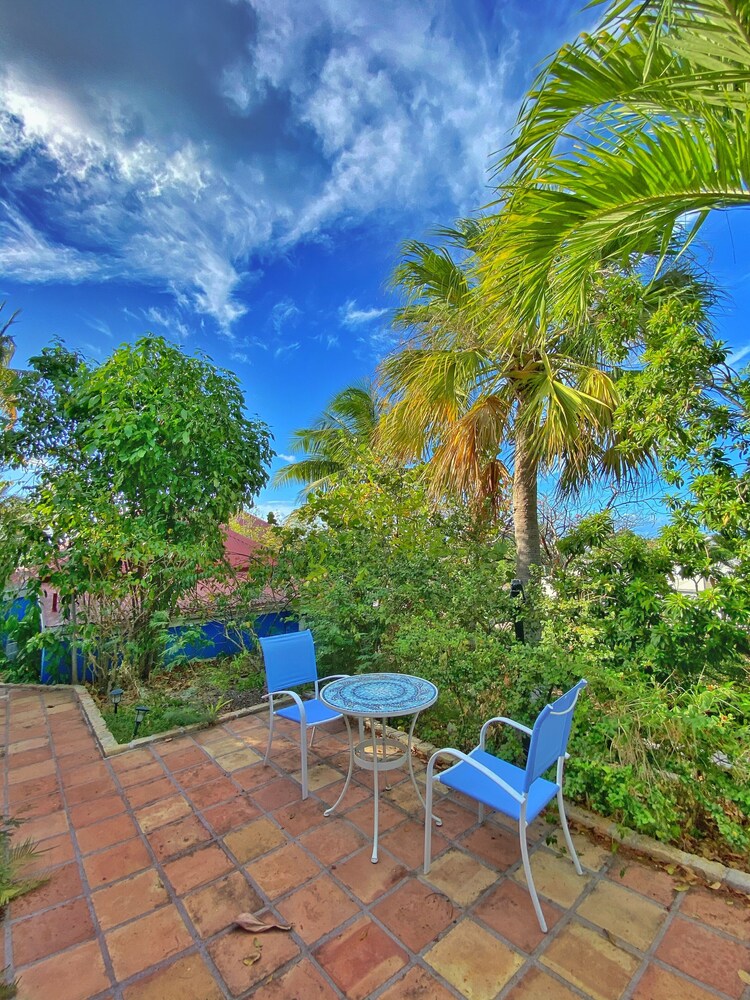 sugar apple st croix