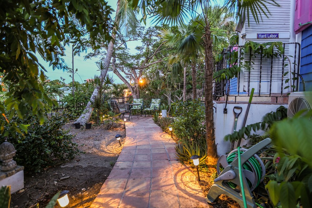 sugar apple st croix