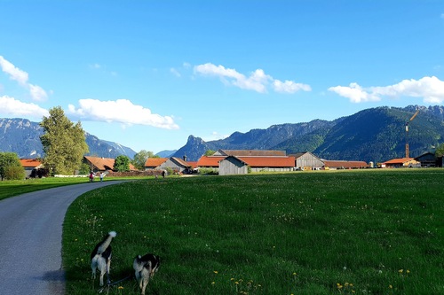 ウンターアンマーガウ のホテル 宿泊予約 格安ホテル予約 最安値検索 ホテルズドットコム 多数の宿泊施設のキャンセル無料 ウンターアンマーガウ のホテル 宿泊予約 格安ホテル予約 最安値検索 ホテルズドットコム 多数の宿泊施設のキャンセル無料