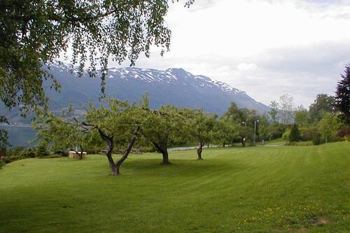 sula speed dating norway