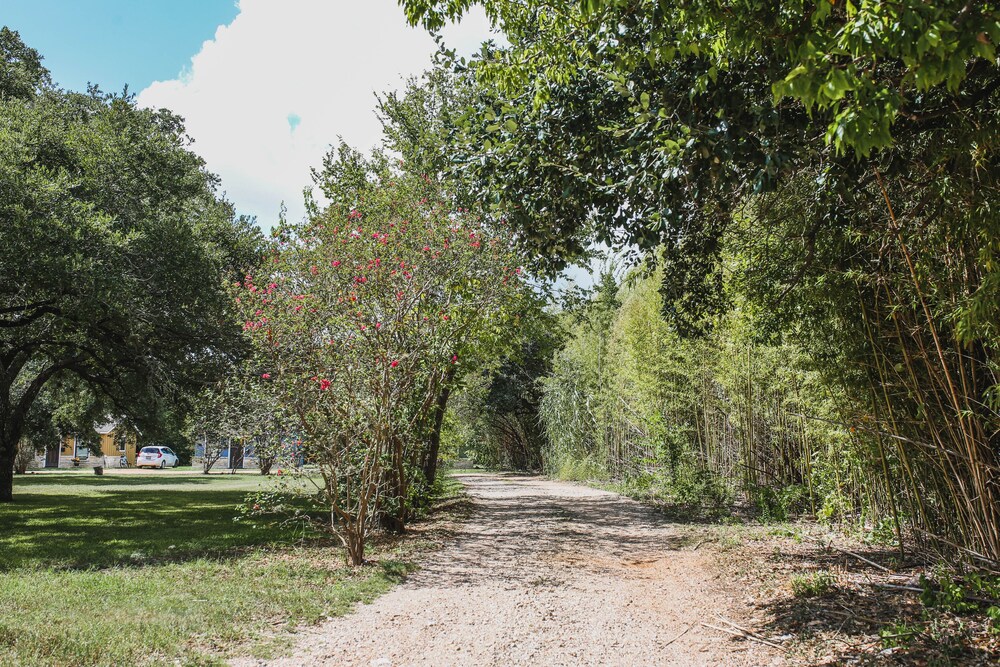 5 mi. from kyle field!