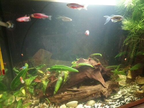 احجز فنادق قريبة من حي موسكوفسكي في مينسك موقع Hotels Com