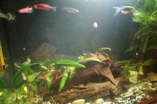 احجز فنادق قريبة من حي موسكوفسكي في مينسك موقع Hotels Com