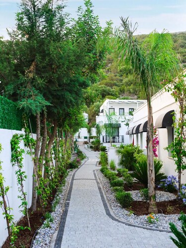 Bodrum Evcil Hayvan Kabul Eden Oteller Ve Rezervasyon Hotels Com