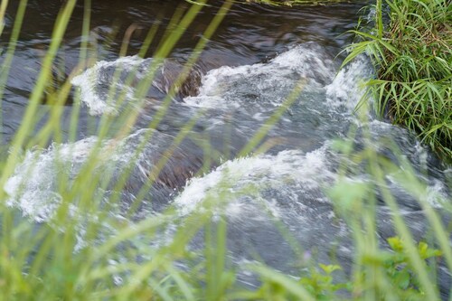 由布 のバケーションホーム/コンドミニアム 宿泊予約 - 最安値検索 